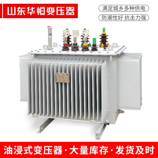 S13-10000/35奉新奉新奉新电力变压器