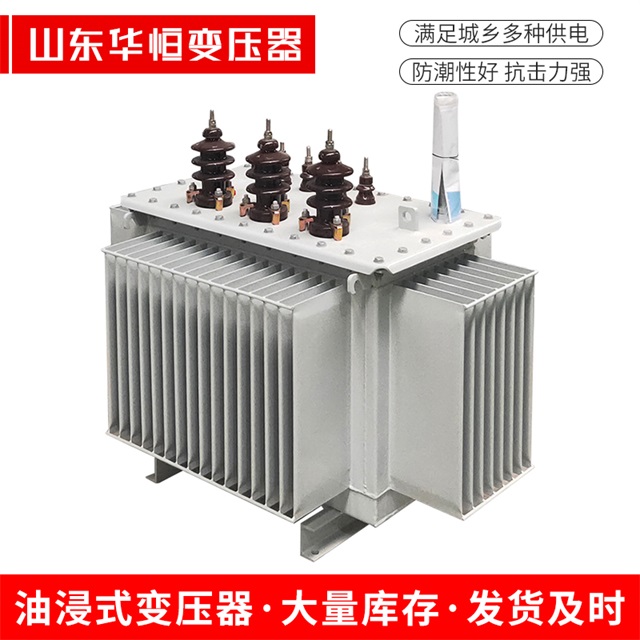 S13-10000/35奉新奉新奉新油浸式变压器厂家